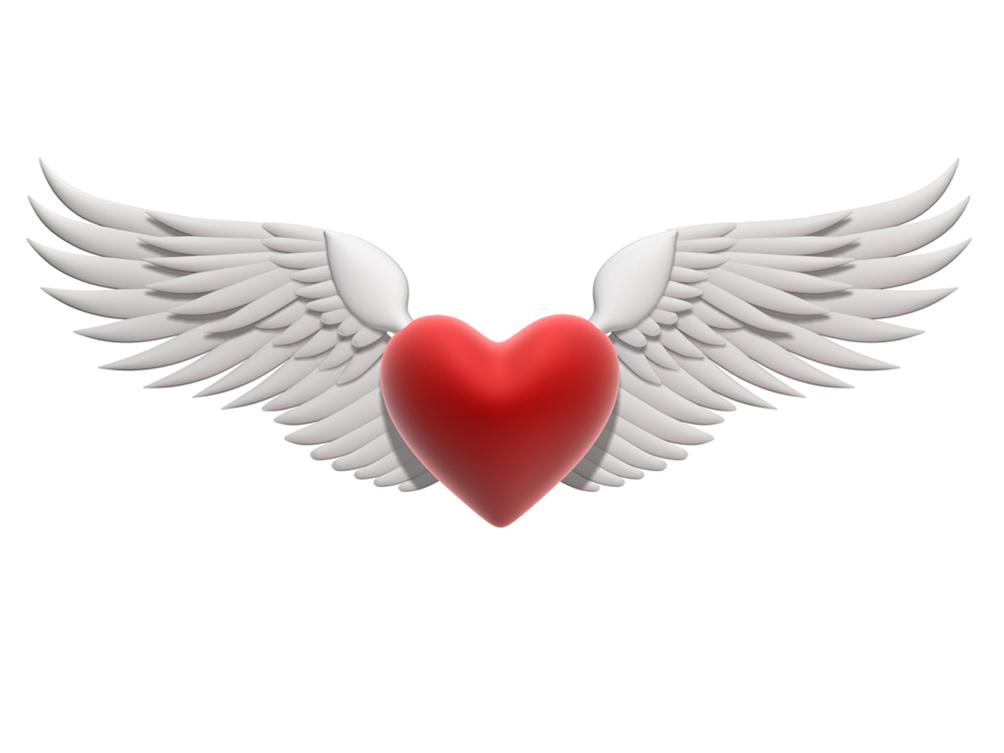 about kim kardashian: pics of hearts with wings