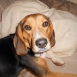 2012-02-24_001