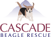 Cascade Beagle Rescue