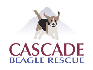 LOGO (1)