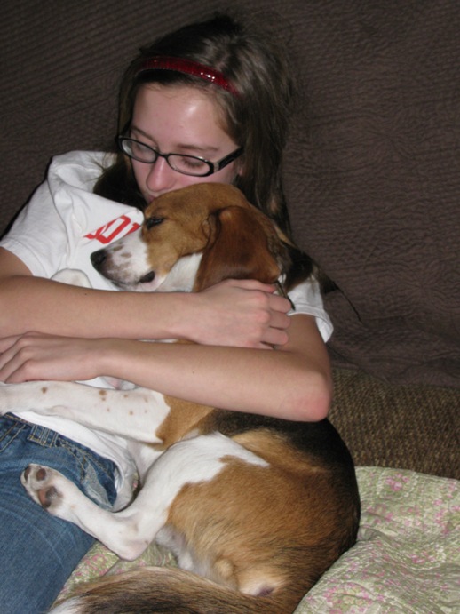 laboratory beagles for adoption